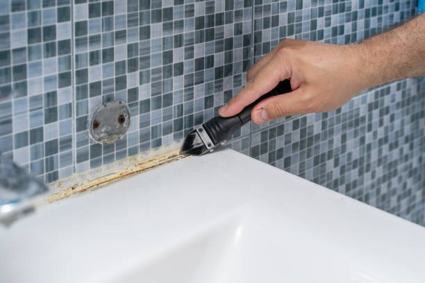 Best Mold Remediation for Specific Building Types in San Rafael, NM